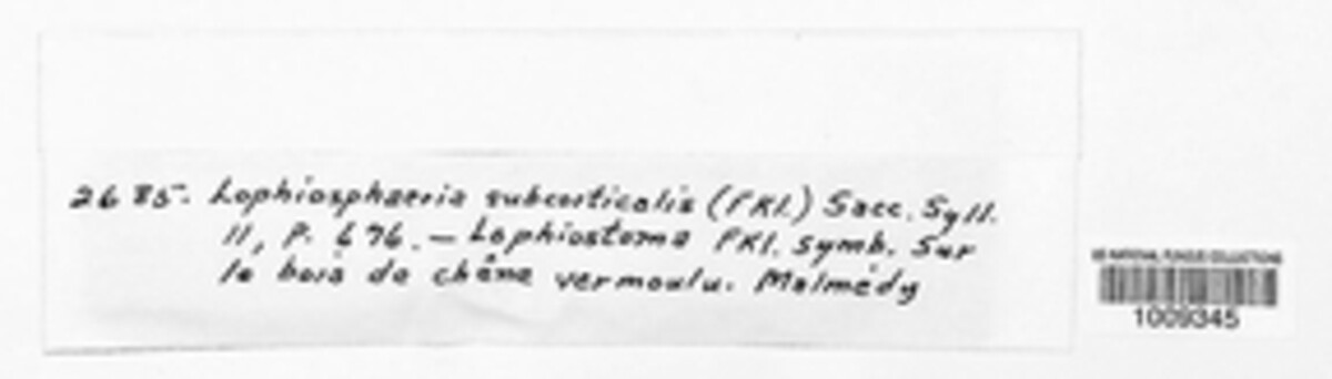 Lophiosphaera subcorticalis image